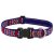 Lupine Microbatch Collection America Adjustable Collar 2,5 cm width 31-50 cm -  For Medium and Larger Dogs