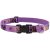Lupine Original Collection Haunted House Adjustable Collar 2,5 cm width 31-50 cm -  For Medium and Larger Dogs