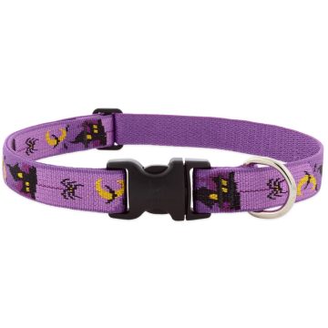   Lupine Original Collection Haunted House Adjustable Collar 2,5 cm width 41-71 cm -  For Medium and Larger Dogs
