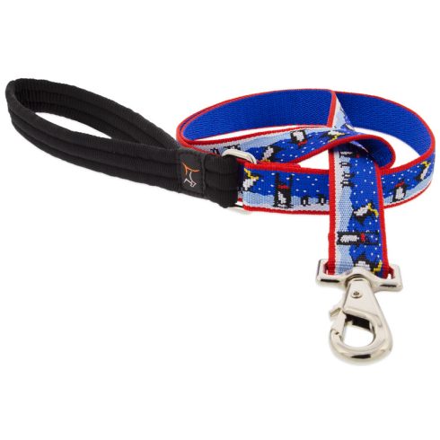 Lupine Microbatch Collection Snow Dance Padded Handle Leash 2,5 cm width 122 cm - For medium and larger dogs