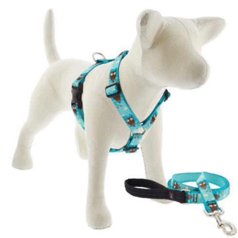 Lupine Roman hám (Hoot 2,5 cm széles  51-81 cm)