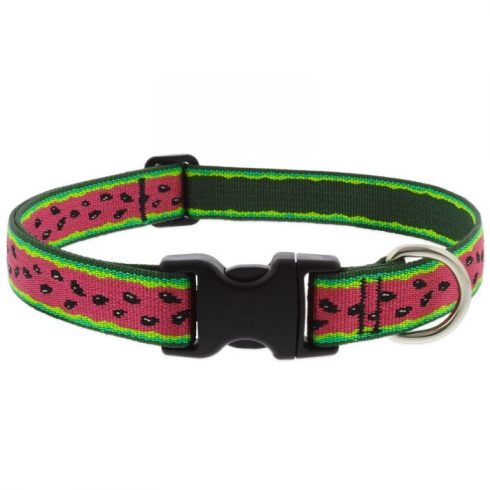 Lupine Microbatch Collection Watermelon Adjustable Collar 2,5 cm width 31-50 cm -  For Medium and Larger Dogs