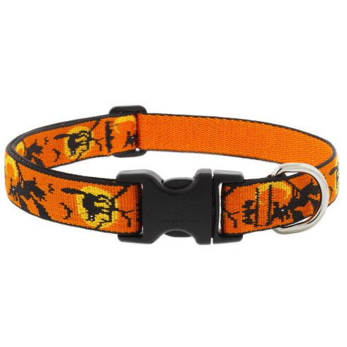 Lupine Microbatch Collection Wicked Adjustable Collar 2,5 cm width 31-50 cm -  For Medium and Larger Dogs
