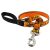 Lupine Microbatch Collection Wicked Padded Handle Leash 2,5 cm width 122 cm - For medium and larger dogs