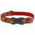 Lupine Original Collection Stocking Stuffer Adjustable Collar 2,5 cm width 31-50 cm -  For Medium and Larger Dogs