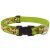 Lupine Microbatch Collection Gonuts Adjustable Collar 2,5 cm width 31-50 cm -  For Medium and Larger Dogs