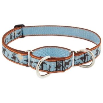   Lupine Original Collection Giddyup Martingale Training Collar 2,5 cm width 49-68 cm -  For Medium and Larger Dogs