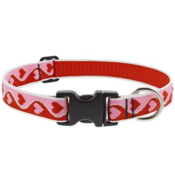   Lupine Microbatch Collection Sweetheart Adjustable Collar 2,5 cm width 41-71 cm -  For Medium and Larger Dogs
