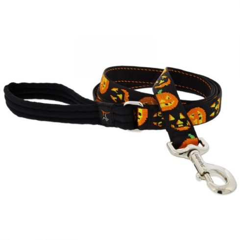 Lupine Microbatch Collection Jack O'Lantern Padded Handle Leash 2,5 cm width 122 cm - For medium and larger dogs