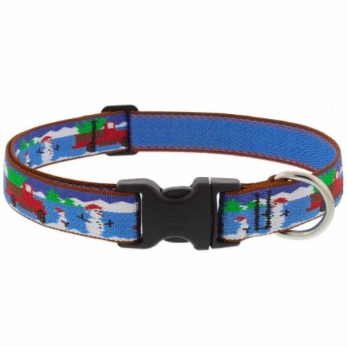 Lupine Original Collection Special Delivery Adjustable Collar 2,5 cm width 31-50 cm -  For Medium and Larger Dogs