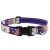 Lupine Microbatch Collection American Eagle Adjustable Collar 2,5 cm width 31-50 cm -  For Medium and Larger Dogs