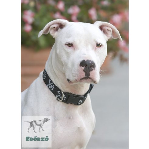 LUPINE nyakörv (Bling Bonz 2,5 cm széles 64-78 cm)