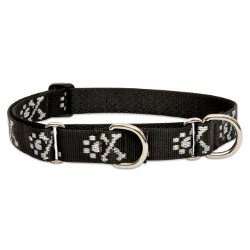   Lupine Original Collection Bling Bonz Martingale Training Collar 2,5 cm width 49-68 cm -  For Larger Dogs