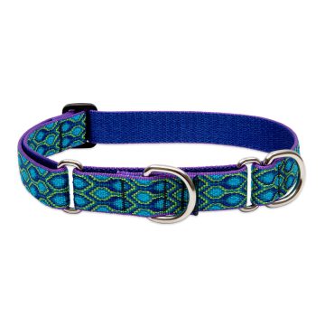   Lupine Original Collection Rain Song Martingale Training Collar 2,5 cm width 49-68 cm -  For Larger Dogs