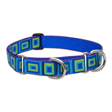   Lupine Original Collection Sea Glass Martingale Training Collar 2,5 cm width 39-55 cm -  For Medium and Larger Dogs