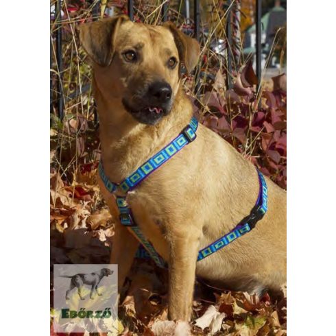 Lupine Roman hám (Sea Glass 2,5 cm széles  61-96 cm)