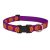 Lupine Original Collection Flower Box Adjustable Collar 2,5 cm width 31-50 cm -  For Medium and Larger Dogs