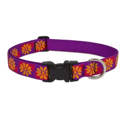 Lupine Original Collection Flower Box Adjustable Collar 2,5 cm width 41-71 cm -  For Medium and Larger Dogs