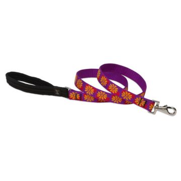   Lupine Original Designs Flower Box Padded Handle Leash 2,5 cm width 122 cm - For medium and larger dogs