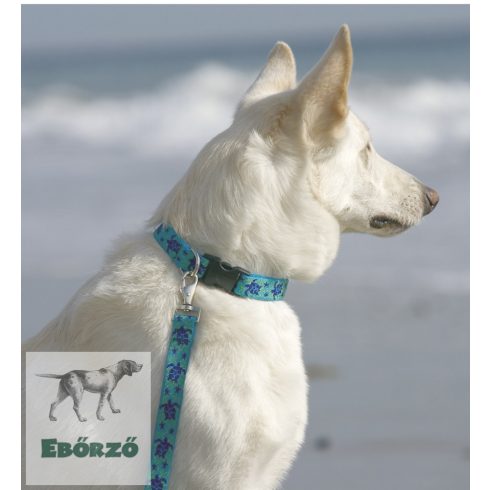 LUPINE nyakörv (Turtle Reef 2,5 cm széles 64-78 cm)