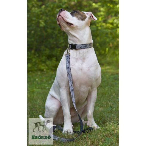 Lupine Original Designs Web Master Padded Handle Leash 2,5 cm width 122 cm - For medium and larger dogs