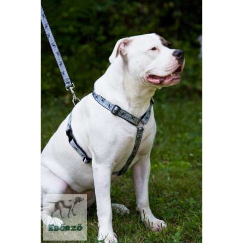 Lupine Original Designs Web Master Padded Handle Leash 2,5 cm width 122 cm - For medium and larger dogs