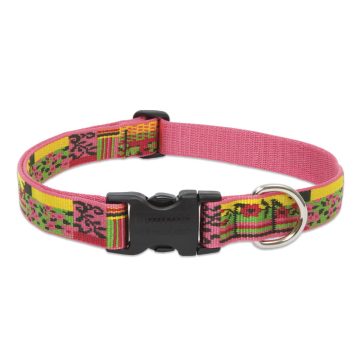   Lupine Original Collection Flower Patch Adjustable Collar 2,5 cm width 31-50 cm -  For Medium and Larger Dogs