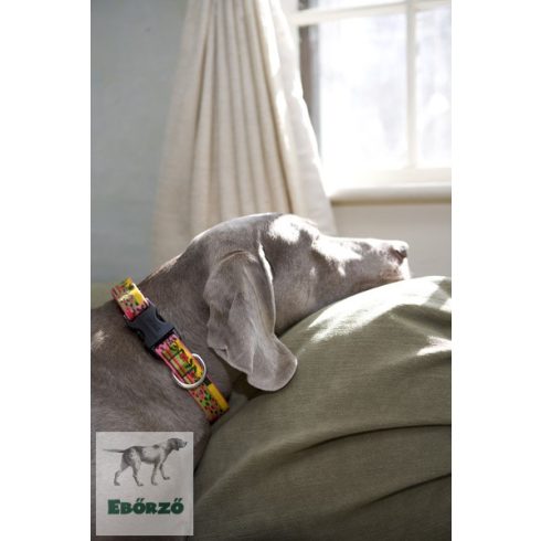 LUPINE nyakörv (Flower Patch 2,5 cm széles 41-71 cm)