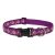 Lupine Original Collection Rose Garden Adjustable Collar 2,5 cm width 31-50 cm -  For Medium and Larger Dogs