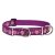 Lupine Original Collection Rose Garden Martingale Training Collar 2,5 cm width 39-55 cm -  For Medium and Larger Dogs