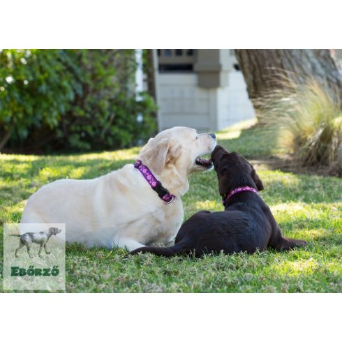 Lupine Original Collection Rose Garden Martingale Training Collar 2,5 cm width 39-55 cm -  For Medium and Larger Dogs