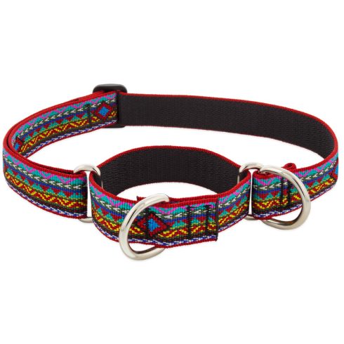 Lupine Original Collection El Paso Martingale Training Collar 2,5 cm width 39-55 cm -  For Medium and Larger Dogs