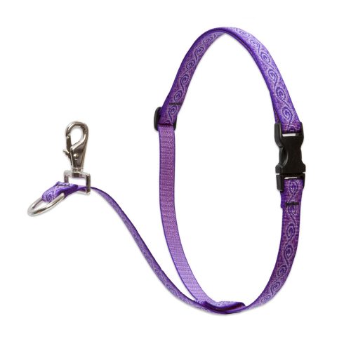 Lupine Original Collection Jelly Roll No Pull Training Harness 2,5 cm width  60-96  cm - For medium and larger dogs