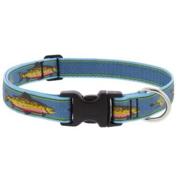 Big Fish (2,5 cm width)