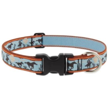 Giddyup (2,5 cm width)