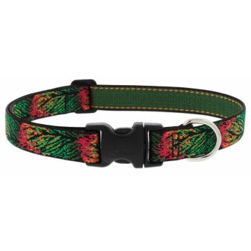 Autumn Blaze (2,5 cm width)