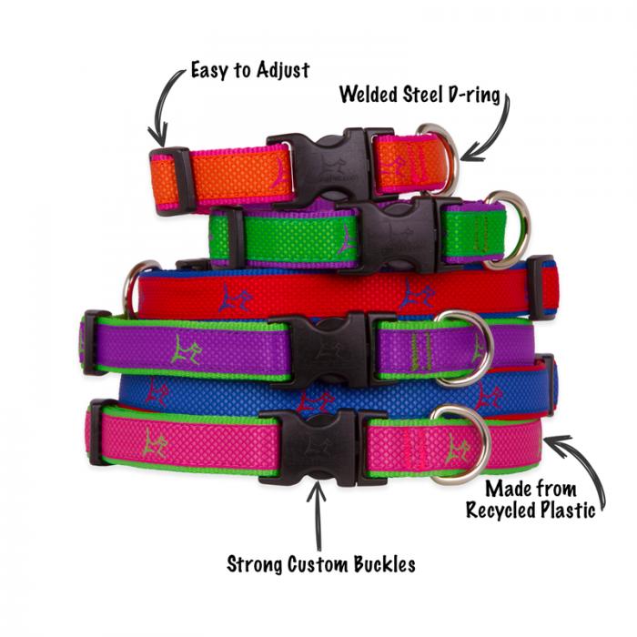 Lupine Club collars features