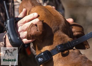 DT Systems RAPT 1400 típusú elektromos kutya nyakörv
